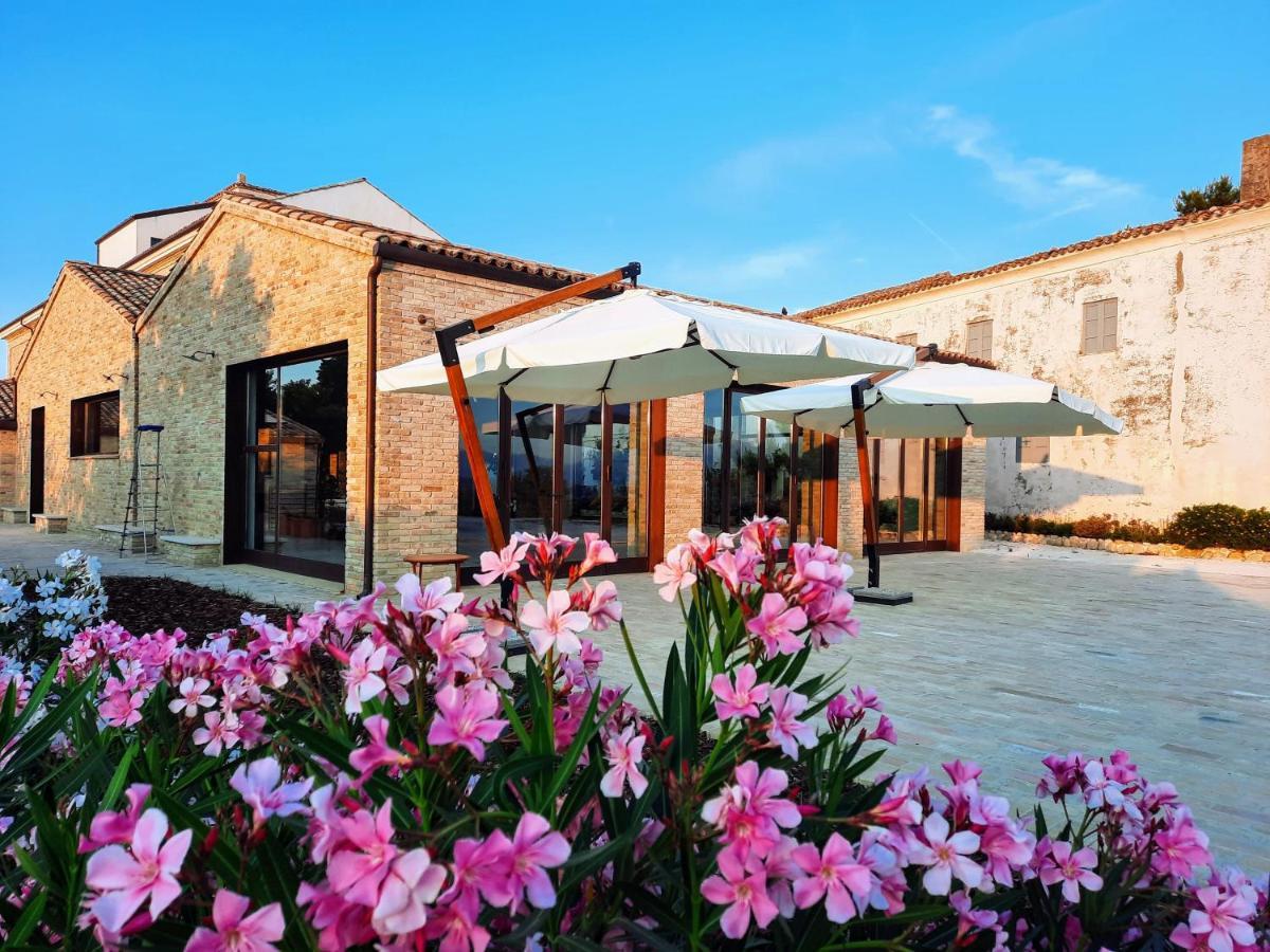 Tenuta Coppa Zuccari ชิตตา ซานตันเจโล ภายนอก รูปภาพ